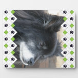 Green Argyle Paw Prints Display Plaque