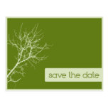 Green Autumn Branches Save the Date Postcard