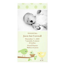 Green Birds Birth Announcement Picture Card