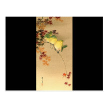 Green Birds on Maple Tree, Japanese Art c.1800s Postcards