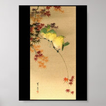 Green Birds on Maple Tree, Japanese Art c.1800s Posters