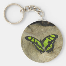 Green & Black butterfly Keychain