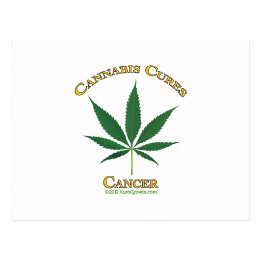 Green Cannabis Cures Cancer Postcard