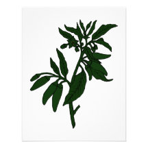 Green chilli peppers on dark green plant personalised invitation