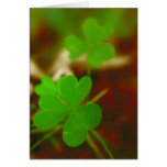 Green Clover Photograph Card