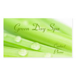 Green Day Spa Business Card