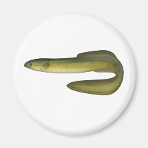 Green Eel Refrigerator Magnets