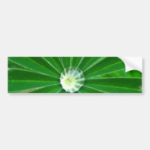 Green Energy  Bumper Sticker