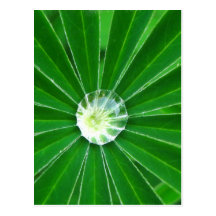 Green Energy  Postcard