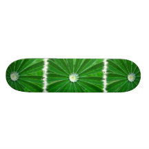 Green Energy Skateboard