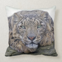 Green-Eyed Gaze Pillow