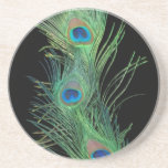 Green Feather with Black Feather Coaster