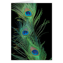 Green Feathers with Black Greeting Cards