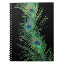 Green Feathers with Black Spiral Notebook