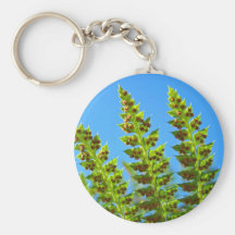 Green Fern Fronds keychain Blue Sky nature