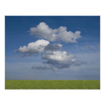 green filed, blue sky, white cloud announcements