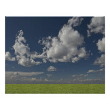 green filed, blue sky, white cloud custom invite