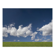 green filed, blue sky, white cloud personalized announcement