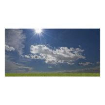 green filed, blue sky, white cloud photo cards