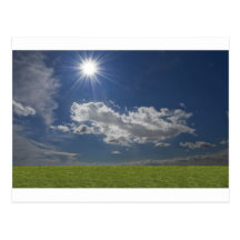 green filed, blue sky, white cloud postcard