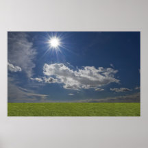 green filed, blue sky, white cloud posters