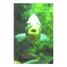 Green Fish Stationery Paper