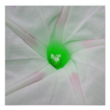 Green Flower Centre Photo Art