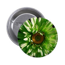 Green Gerber Daisy Button