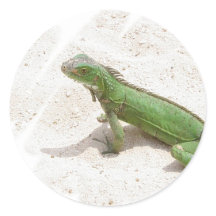 lizard stickers