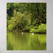 Green Lake Poster