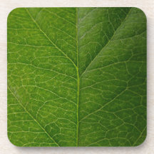 Green Leaf Coaster
