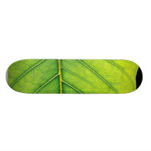 Green Leaf Leaves Skate Boards