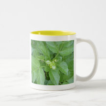 Green Leaf Mug