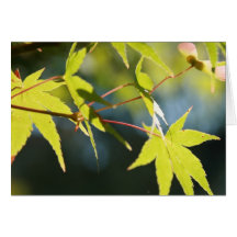 Green Leaf Note Card