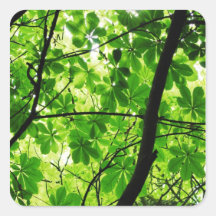 Green Leaf Sky Stickers