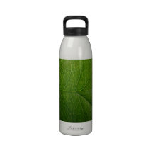 Green Leaf Water Bottle