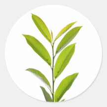 Green Leafs Stickers