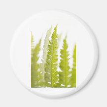 Green Leaves, Green Plant, Plants, Earth Fridge Magnet