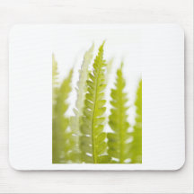 Green Leaves, Green Plant, Plants, Earth Mousepads