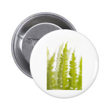 Green Leaves, Green Plant, Plants, Earth Pin
