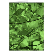 Green Leaves Greeting Cards