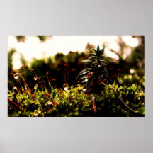 green love print