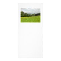 Green meadow. Countryside scenery. Custom Rack Card