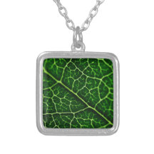 Green nature Leafs natural natural  Green Trees Ea Pendant