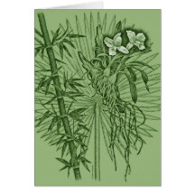 Green Orchids Card