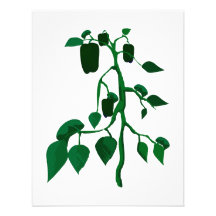 Green peppers on green plant graphic invitations