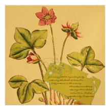 Green & Pink Wild Flower  Dinner Invitations