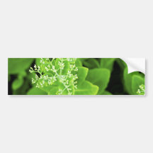 Green plant extravaganza bumper sticker