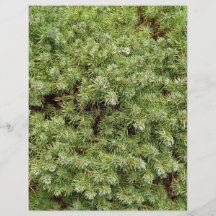 Green Plants Texture Custom Flyer