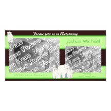Green Polar Bears Birth Announcement Custom Photo Card